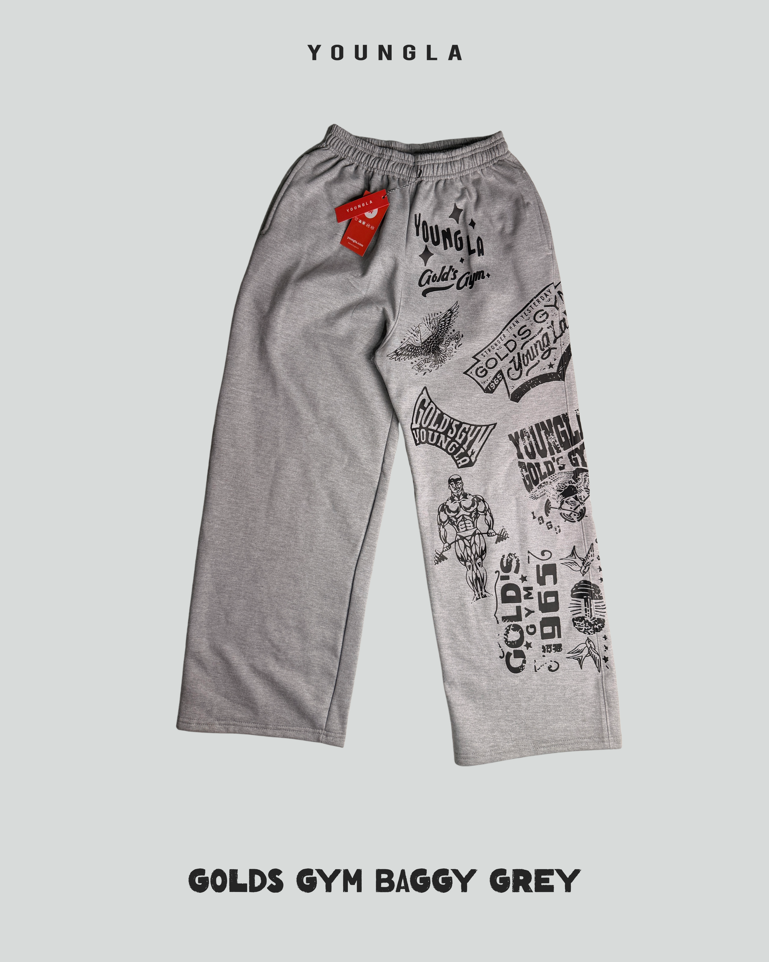 Baggy Gris Golds Gym Evolution Sweats- Youngla